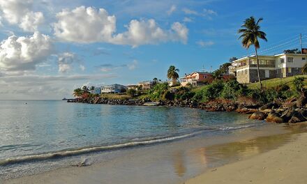 How can obtain the citizenship of Grenada 