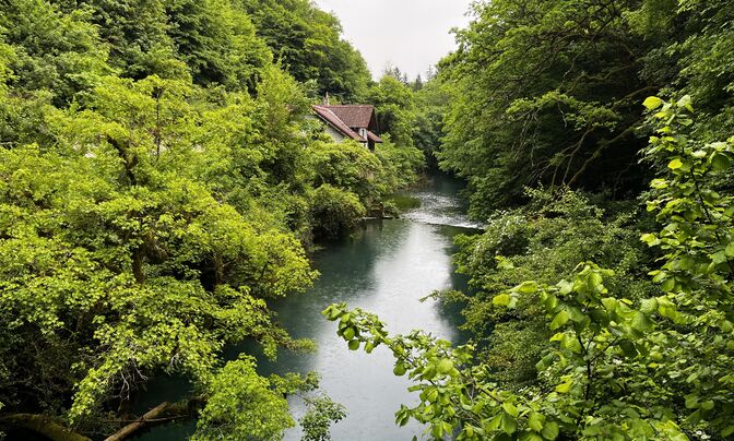  Estate from an old mill on the river bank