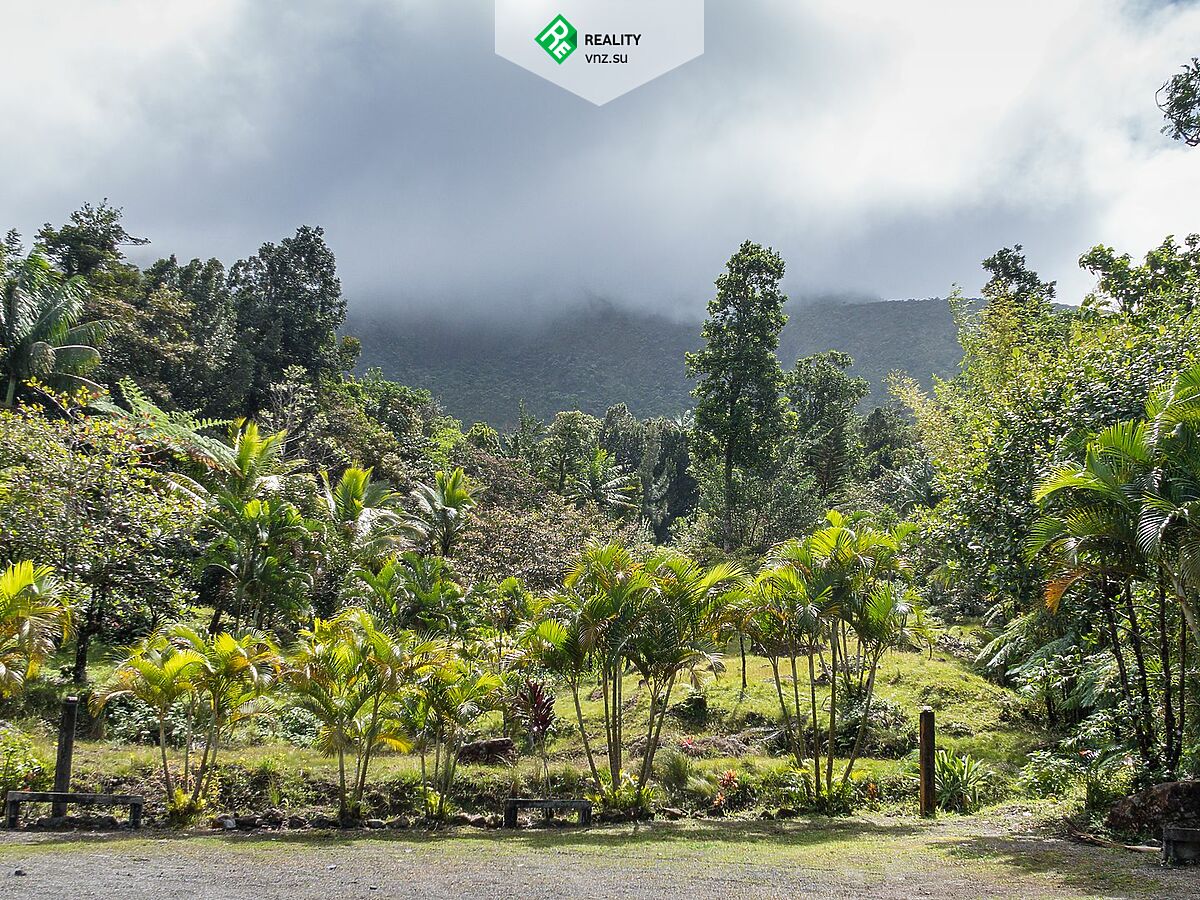 citizenship of Dominica
