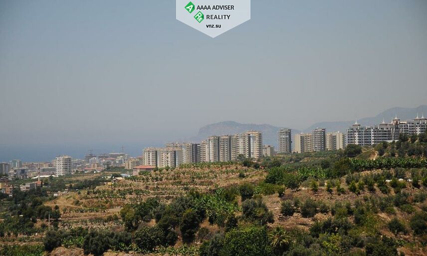 Realty Turkey Flat Alanya, Swallow: 7