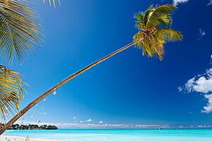 How to get to Antigua and Barbuda