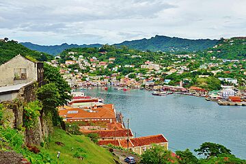 The citizenship of Grenada - only positive testimonials, #1