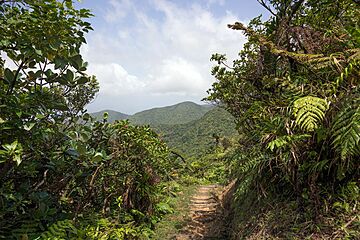Dominica The Caribbean Island , #2