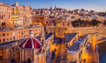 How much did applicants obtain the citizenship of Malta in fact?