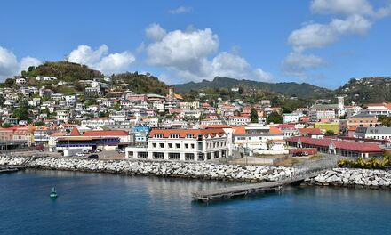 Economic citizenship of Grenada - testimonials, the process , #