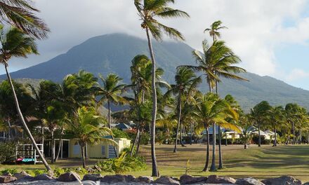 How to obtain the citizenship of Saint Kitts and Nevis?, #