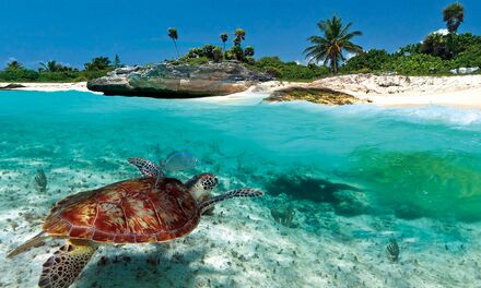 How to get to Antigua and Barbuda