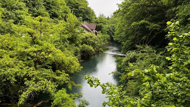 Estate from an old mill on the river bank