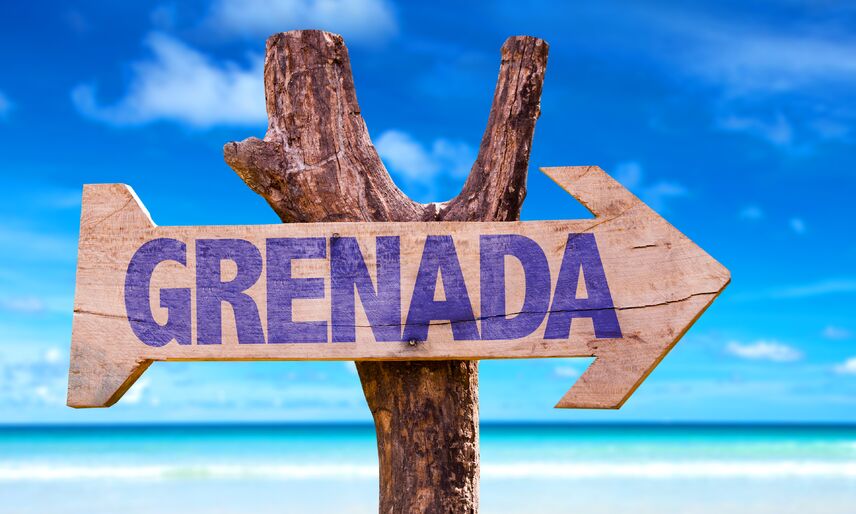 Options citizenship of Grenada