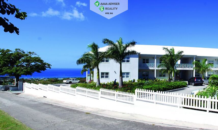 Realty Saint Kitts & Nevis Share Carino Hamilton: 1