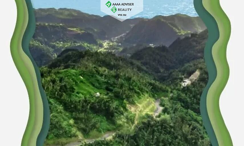 Realty Dominica Share Sanctuary Rainforest Eco: 2