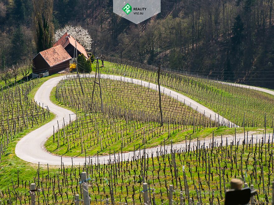 Residence permit in Slovenia. Residence permit in Slovenia. AAAA ADVISER LLC