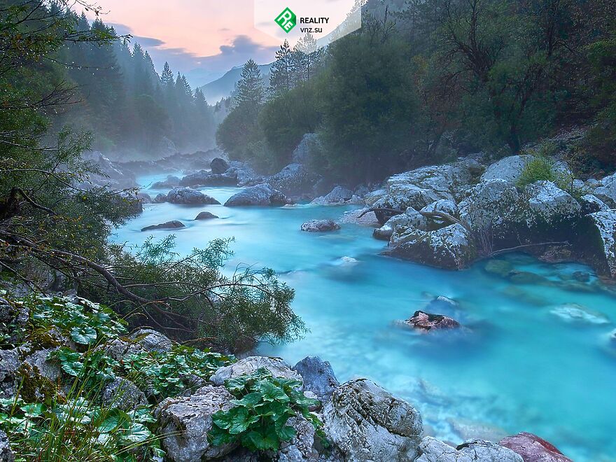 Residence permit in Slovenia. Residence permit in Slovenia. AAAA ADVISER LLC