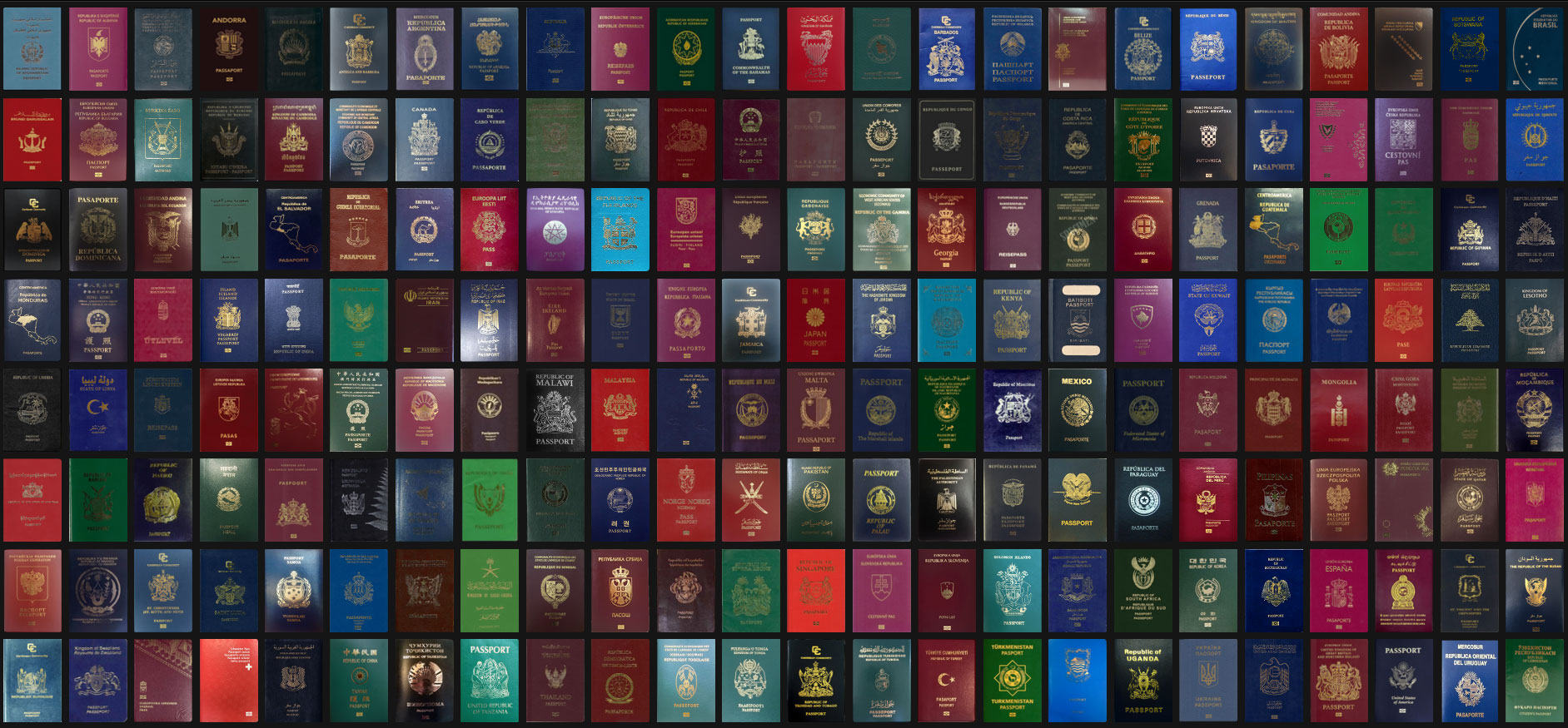 Паспорт Мира